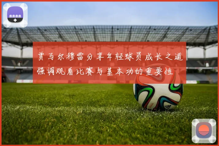 贾马尔穆雷分享年轻球员成长之道强调观看比赛与基本功的重要性